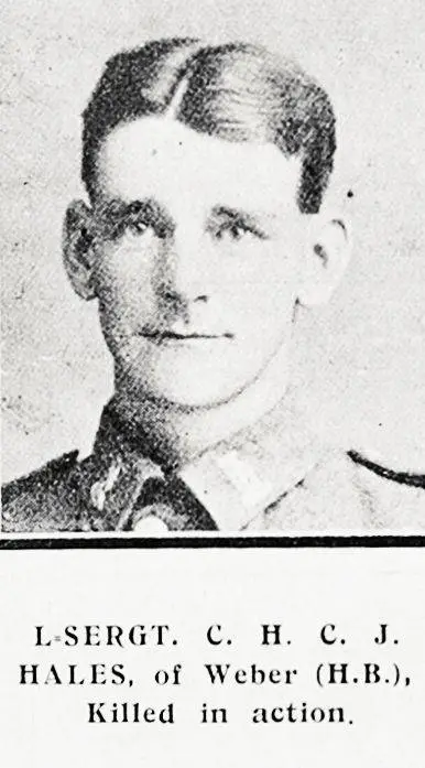 L. Sergt. C. H. C. J. Hales, of weber (H.B.), Killed in action