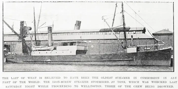 The last of what is believed to have been the oldest steamer in commission in any part of the world: the iron-screw steamer Stormbird