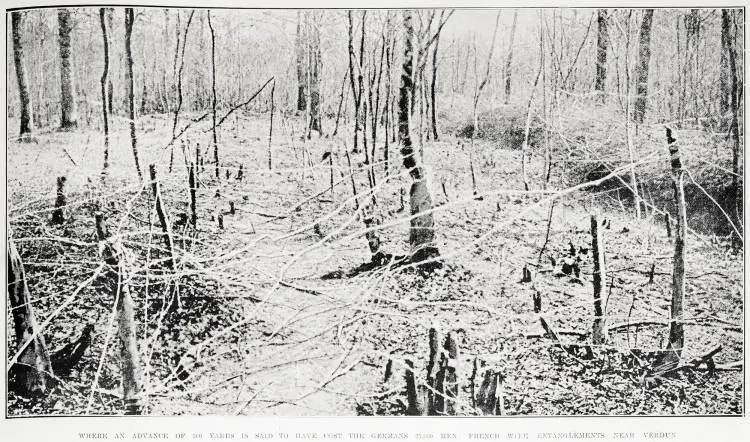 Where an advance of 500 yards is said to have cost the Germans 25,000 men: French wire entanglements near Verdun