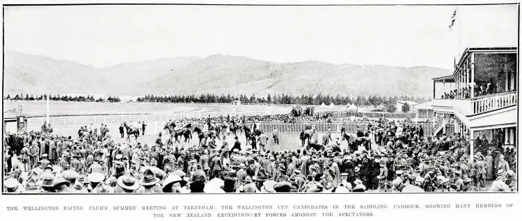 The Wellington Racing Club's summer meeting at Trentham: the Wellington Cup candidates in the saddling paddock
