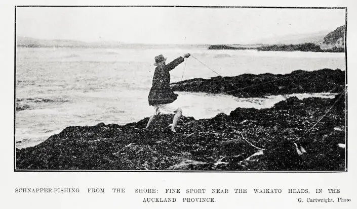 Schnapper-fishing from the shore: fine sport near the Waikato Heads. In the Auckland Province