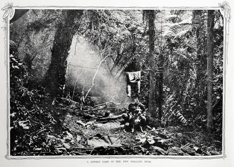A lonely camp in the New Zealand bush