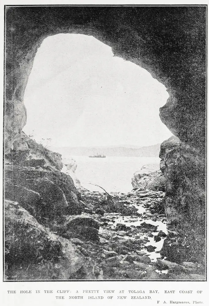 The hole in the cliff: a pretty view at Tolaga Bay, east coast of the North Island of New Zealand
