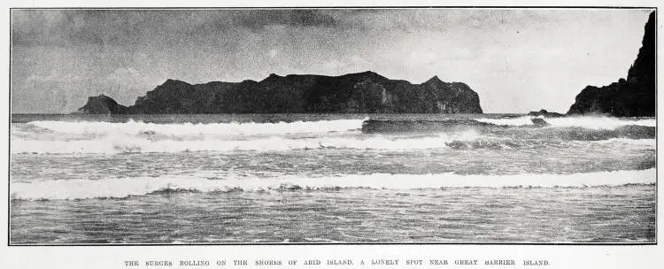 The surges rolling on the shores of Arid Island, a lonely spot near Great Barrier Island