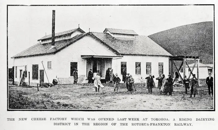 The new cheese factory which was opened last week at Tokoroa, a rising dairying district in the region of the Rotorua-Frankton railway