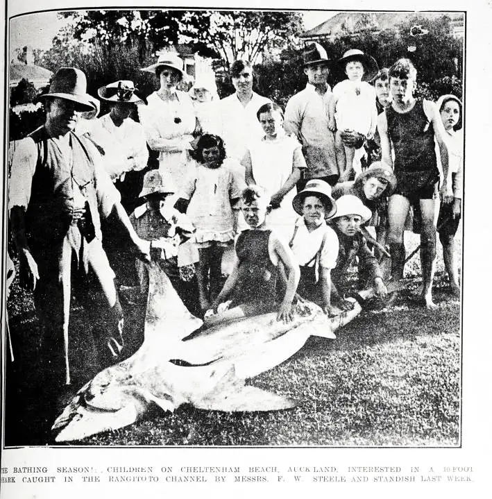 The bathing season: children on Cheltenham Beach, Auckland, interested in a 10-foot shark caught in the Rangitoto Channel by Messrs. F. W. Steele and Standish last week