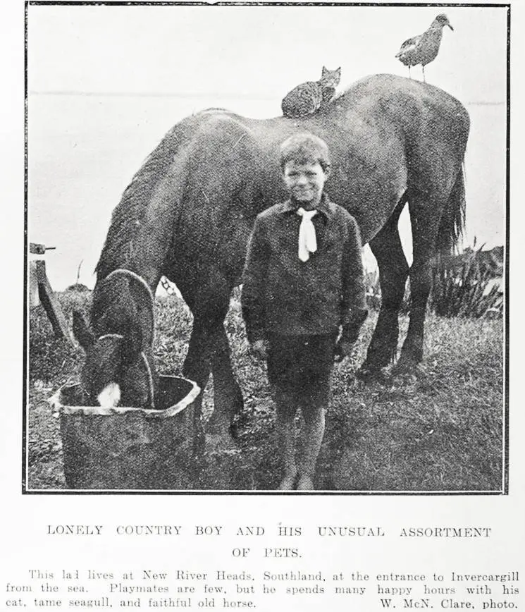 Lonely Country Boy And His Unusual Assortment of Pets