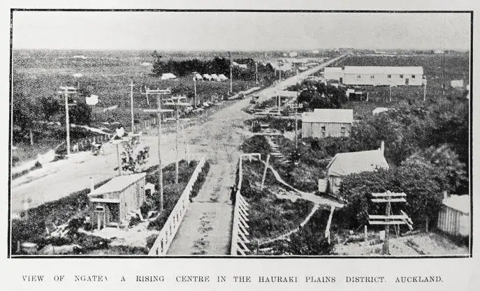 View of Ngate a rising centre in the Hauraki Plains District, Auckland