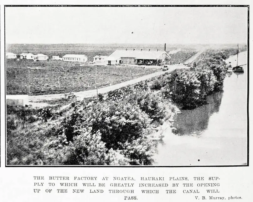 The butter factory at Ngatea, Hauraki Plains, the supply to which will be greatly increased by the opening up of the new land through which the canal will pass