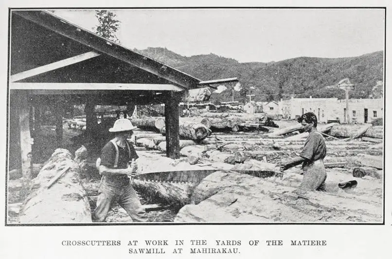 Timber industry in the King Country