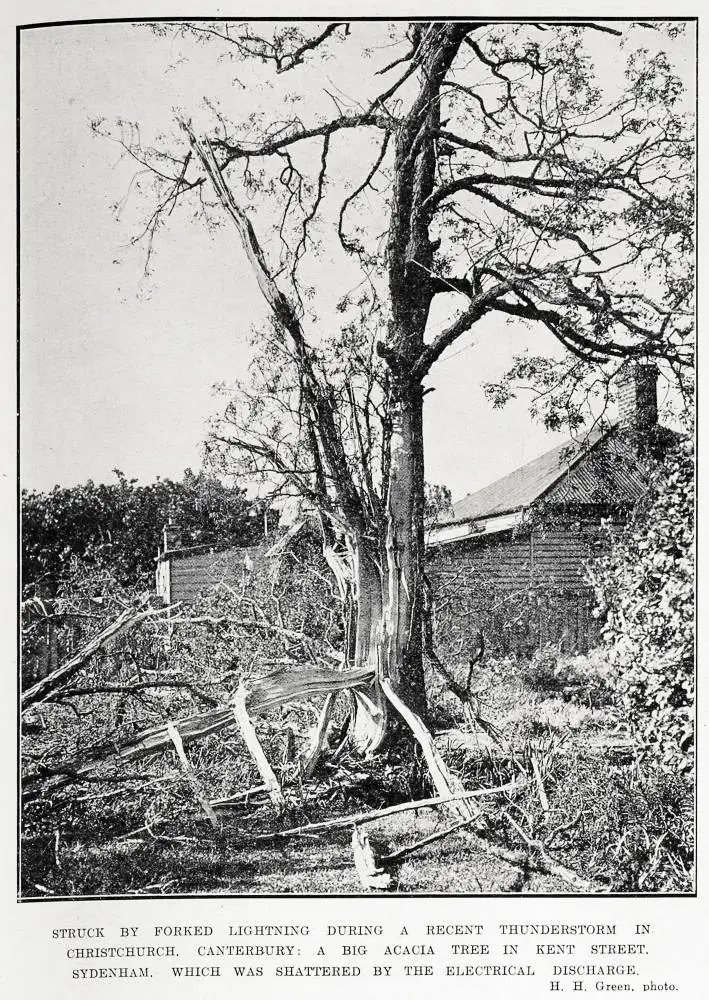 Struck by forked lightning during a recent thunderstorm in Christchurch, Canterbury