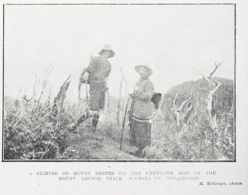 A glimpse on Mount Reeves on the Greytown side of the Mount Hector track, Wairarapa, Wellington