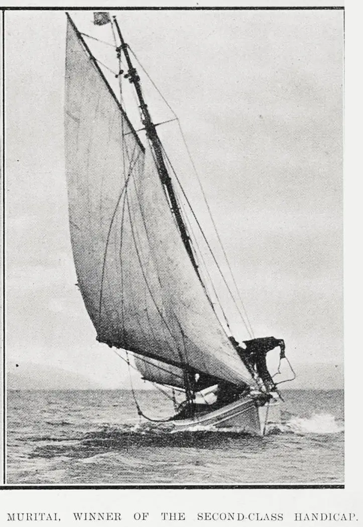 Contestants in Wellington Anniversary Day Regatta