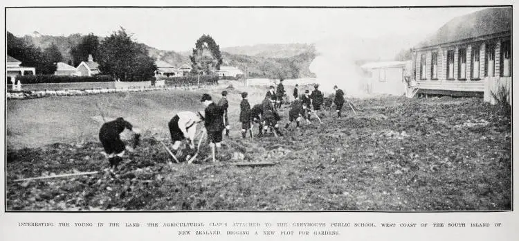 Interesting the young in the land: Greymouth Public School agricultural class