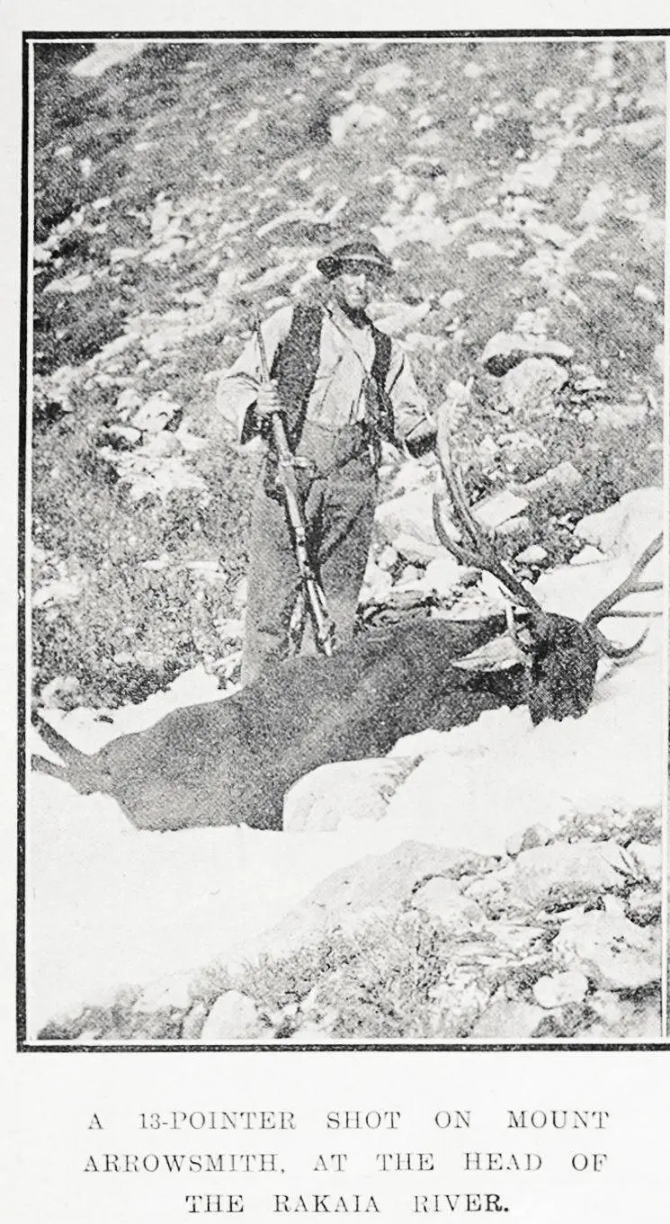 A 13-pointer shot on Mount Arrowsmith, at the head of the Rakaia River