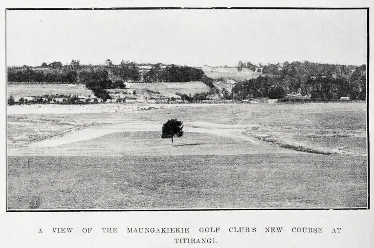 A view of the Maungakiekie Golf Club's new course at Titirangi