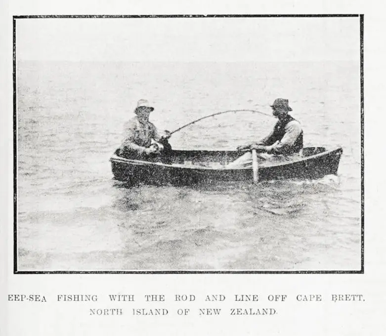 Deep-sea fishing with the rod and line off Cape Brett, North Island of New Zealand