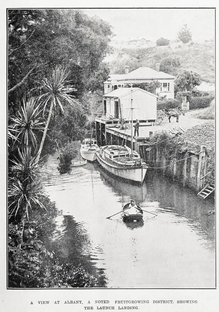 A view at Albany, a noted fruit growing district, showing the launch landing