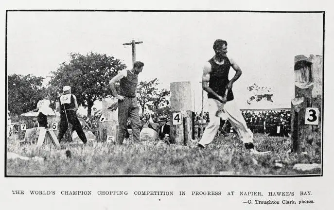 The world's champion chopping competition in progress at Napier, Hawke's Bay
