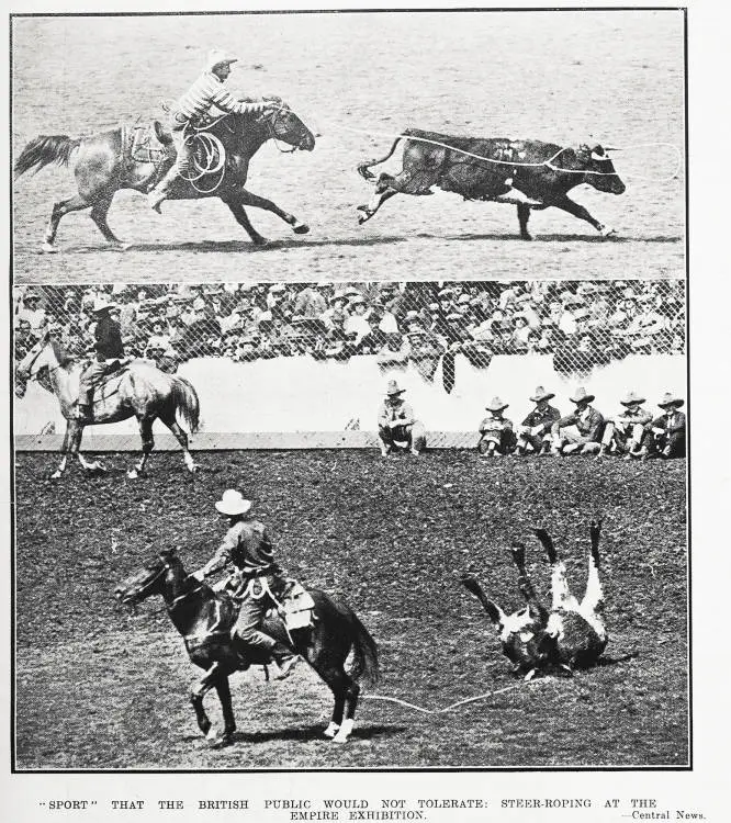 'Sport' that the British public would not tolerate: steer-roping at the Empire Exhibition