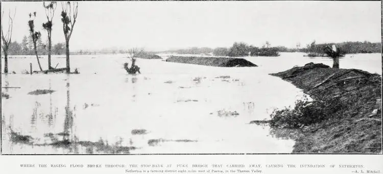Where the raging flood broke through: the stop- bank at Puke Bridge that carried away, causing the inundation of Netherton