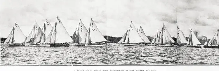 A pretty start: mullet boats photographed as they crossed the line