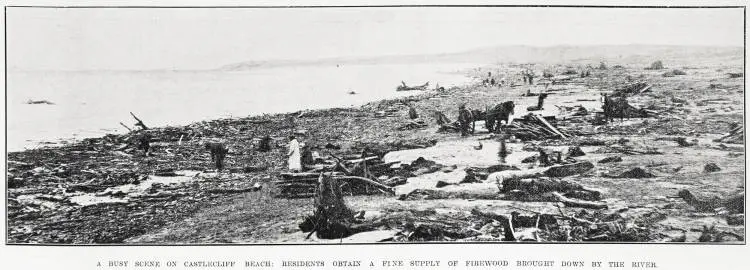 A busy scene on Castlecliff Beach: residents obtain a fine supply of firewood brought down by the river