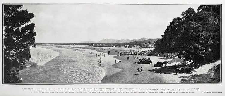 Waihi beach, a beautiful seaside resort on the east coast of Auckland province, seven miles from the town of Waihi
