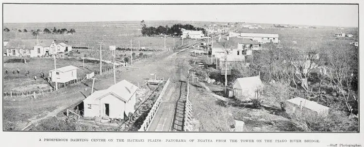 A Prosperous Dairying Centre on the Hauraki Plains: Panorama of Ngatea from the Tower on the Piako River Bridge