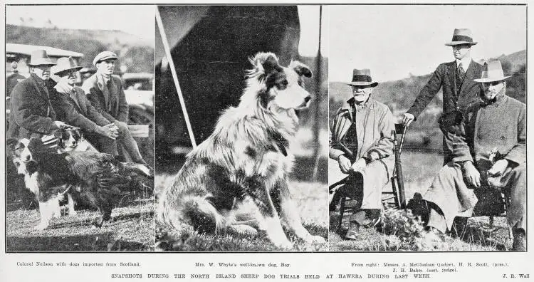 Snapshots during the North Island sheep dog trials held at Hawera during last week