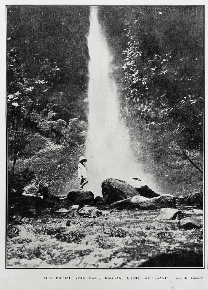 The Bridal Veil Fall, Raglan, South Auckland