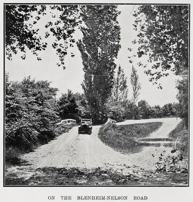 On the Blenheim - Nelson Road