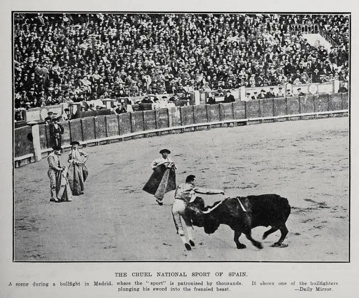 The Cruel National Sport Of Spain