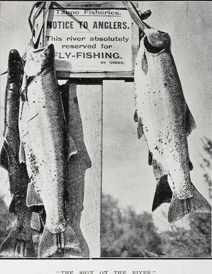 'The sign on the river.'