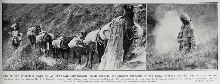 Top-Dressing Pastures in the Hilly Country of the Wellington District