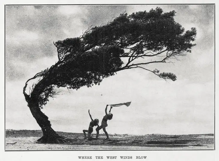 Where the west winds blow