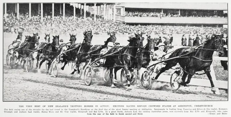 The very best of New Zealand's trotting horses in action: exciting racing before crowded stands at Addington, Christchurch
