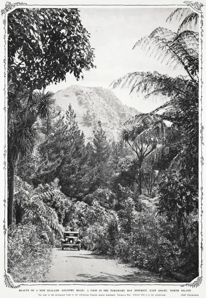 Beauty of a New Zealand country road: a view in the Tokomaru Bay District, East Coast, North Island