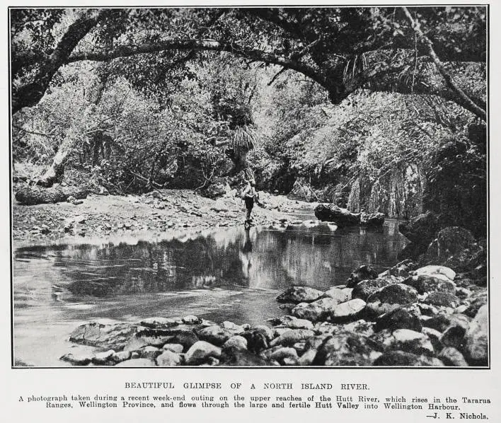 Beautiful Glimpse of a North Island River