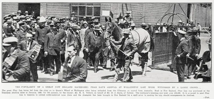 The Popularity of a Great New Zealand Racehorse: Phar Lap's Arrival At Wellington Last Week Witnessed by a Large Crowd