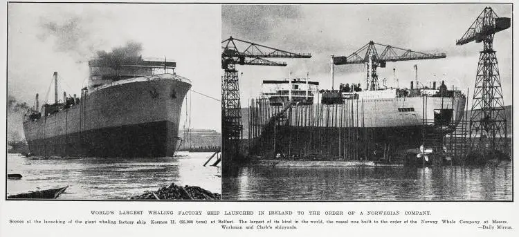 World's largest whaling factory ship launched in Ireland to the order of a Norwegian Company