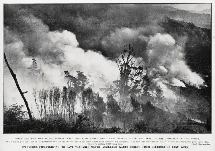 While the fire was at its height: dense clouds of smoke rising from burning scrub and bush on the outskirts of the forest