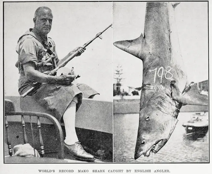 World's record mako shark caught by English angler