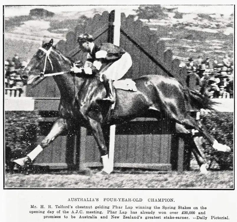 Australia's fourth-year-old champion