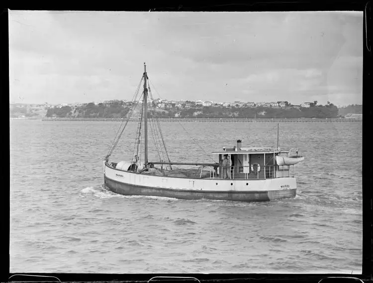 Wairuru off Orakei