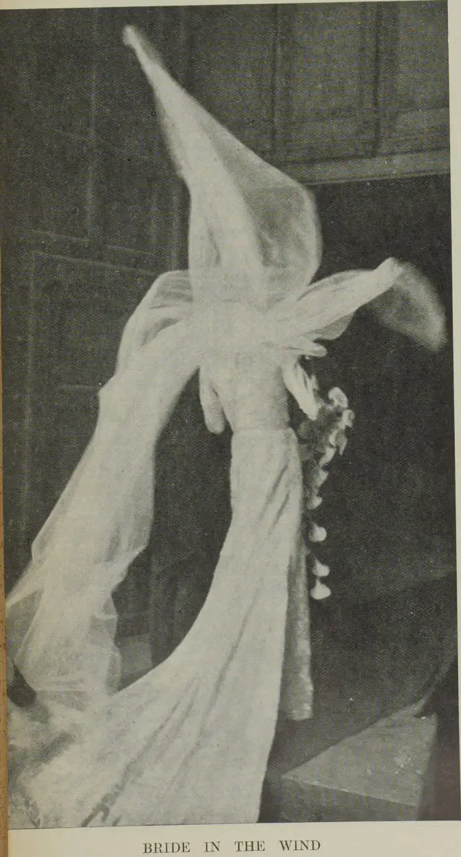 Bride in the wind