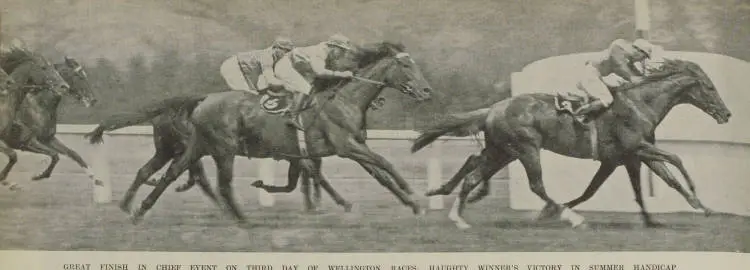 Great finish in chief event on third day of Wellington races: Haughty Winner's victory in Summer Handicap