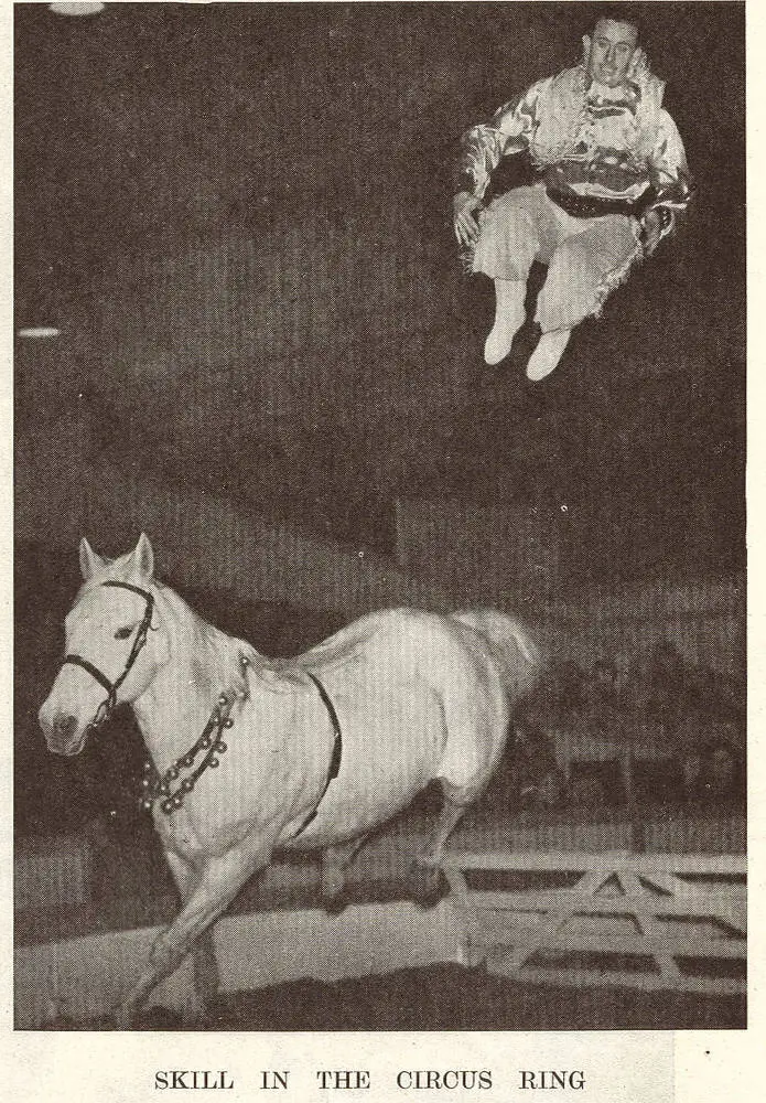 Skills in the circus ring