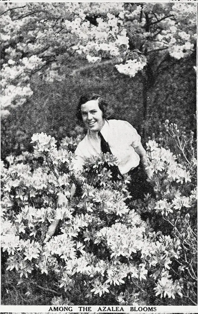 Among the azalea blooms