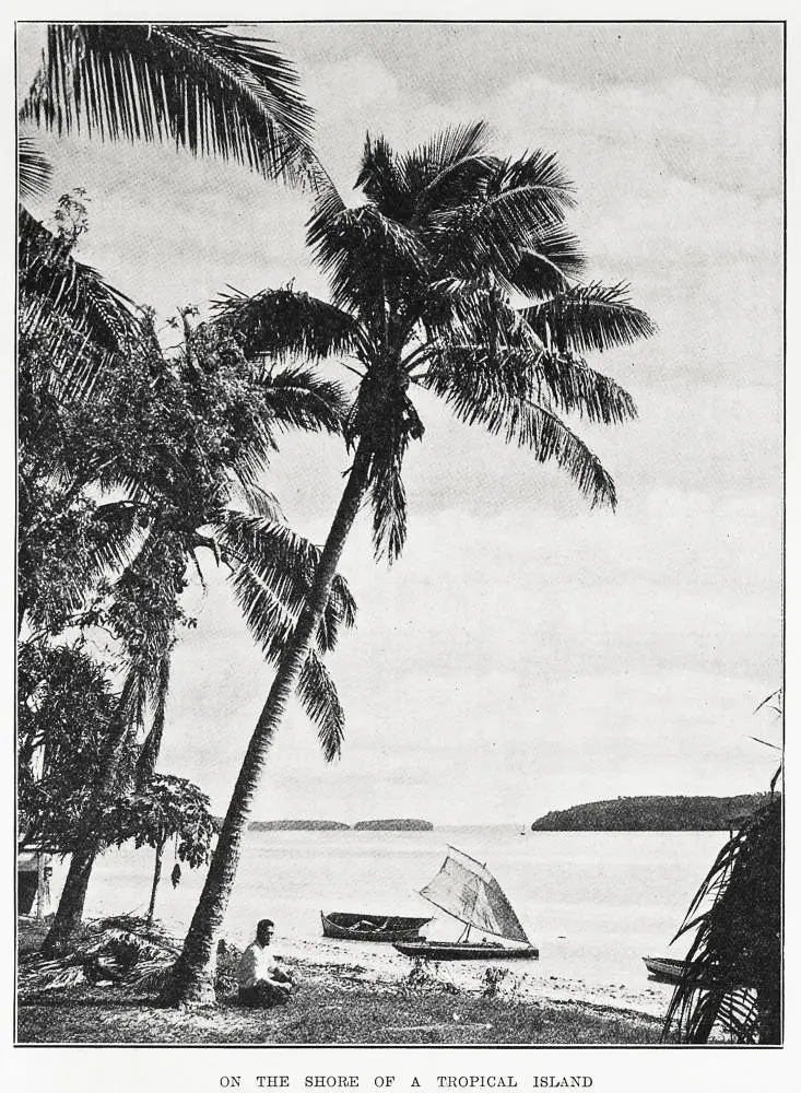 On the shore of a tropical island